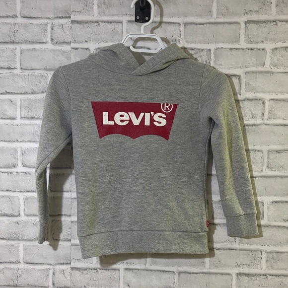 Levi's Other - Levi's Kids Hoodie in Gray with Red Logo, size small- 6